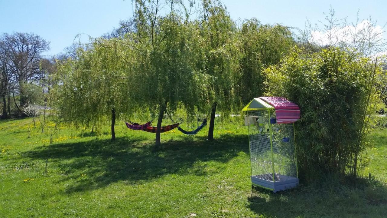 Albergue Paloma Y Lena 사리아루고 외부 사진